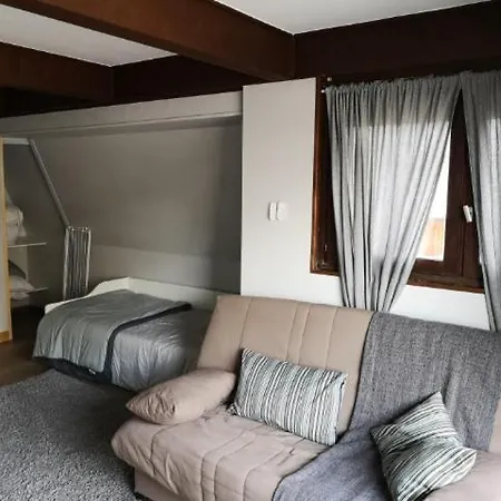Apartment Les 2 Alpes 6 Personnes Au Coeur De La Station *